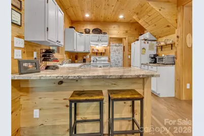 85 Lady Slipper Trail, Hot Springs, NC 28743 - Photo 10
