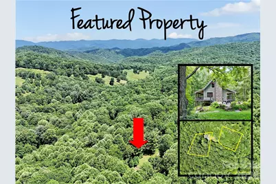 85 Lady Slipper Trail, Hot Springs, NC 28743 - Photo 2