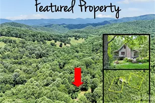 85 Lady Slipper Trl, Hot Springs, NC 28743 - Photo 2
