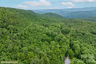125 Round Mountain Rd, Brevard, NC 28747 - Photo 36