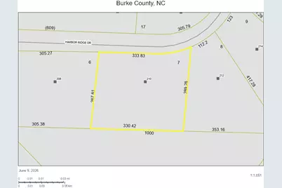 210 Harbor Ridge Drive, Connelly Springs, NC 28612 - Photo 8