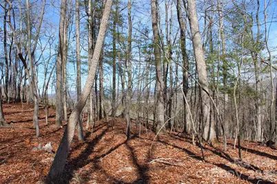 000 Northview Drive #12, Hendersonville, NC 28791 - Photo 4