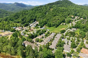 45 Beekeeper Trail, Swannanoa, NC 28778 - Photo 46
