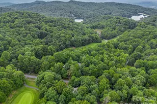558 Middle Connestee Trail, Brevard, NC 28712 - Photo 40
