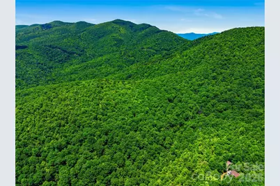 999 Miller Cove Road, Black Mountain, NC 28711 - Photo 16