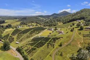 230 Nc 88 Hwy E, Jefferson, NC 28640 - Photo 6