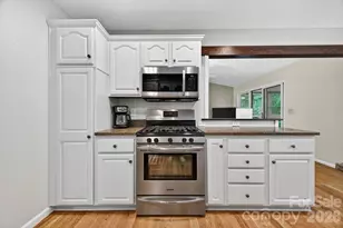 1820 Riverview Ct, Hendersonville, NC 28739 - Photo 10