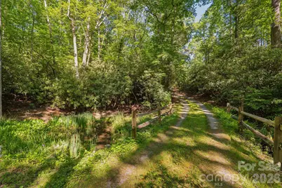 911 Green Hill Road, Brevard, NC 28712 - Photo 46