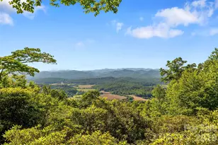 911 Green Hill Rd, Brevard, NC 28712 - Photo 2