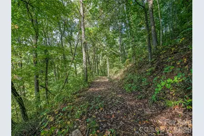 10 Beaverbrook Court, Asheville, NC 28804 - Photo 44