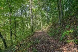 10 Beaverbrook Ct, Asheville, NC 28804 - Photo 44