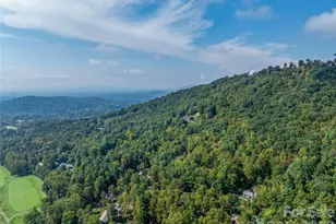 10 Beaverbrook Ct, Asheville, NC 28804 - Photo 46