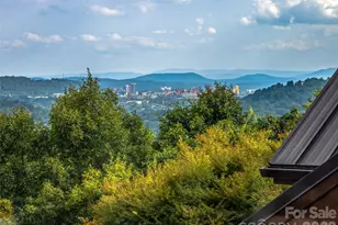 10 Beaverbrook Ct, Asheville, NC 28804 - Photo 4
