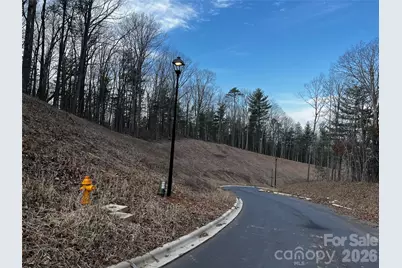 105 Woodland Meadows Drive #Tract A & B, Asheville, NC 28803 - Photo 4