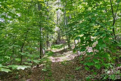 30 Reeves Drive, Burnsville, NC 28714 - Photo 38