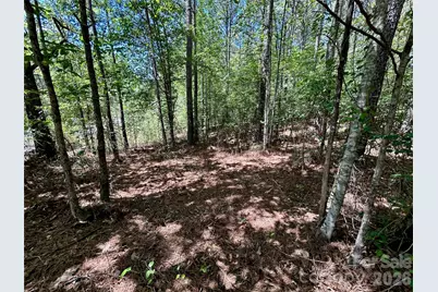 1074 W Hidden Cove Lane, Connelly Springs, NC 28612 - Photo 4