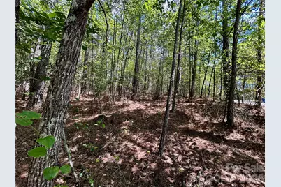 1074 W Hidden Cove Lane, Connelly Springs, NC 28612 - Photo 2