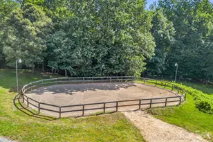 271 Collinsville Rd, Columbus, NC 28722 - Photo 4