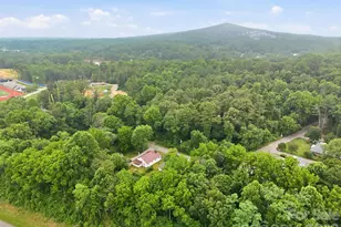 226 Vance Ave, Black Mountain, NC 28711 - Photo 36