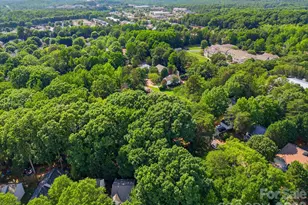 4720 Grey Moss Dr, Lake Wylie, SC 29710 - Photo 46