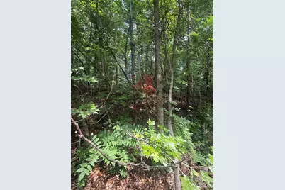 0000 S Lineberry Street, Troy, NC 27371 - Photo 4