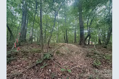 000 S Lineberry Street, Troy, NC 27371 - Photo 2
