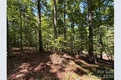 Lots 14,15,16 Trollingwood Lane, Mooresville, NC 28117 - Photo 2