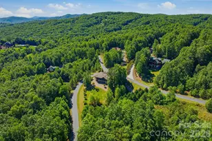 315 Lakeview Trl, Nebo, NC 28761 - Photo 10
