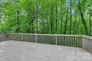 56 Guque Ct, Brevard, NC 28712 - Photo 14