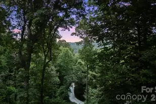 466 Sweetwater Ln, Pisgah Forest, NC 28768 - Photo 46