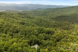 466 Sweetwater Ln, Pisgah Forest, NC 28768 - Photo 42