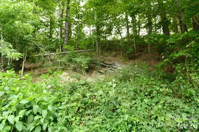 Tbd Sycamore Road, Vilas, NC 28692 - Photo 14