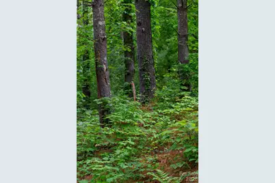 Tbd Sycamore Road, Vilas, NC 28692 - Photo 28