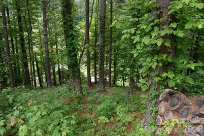 Tbd Sycamore Road, Vilas, NC 28692 - Photo 18