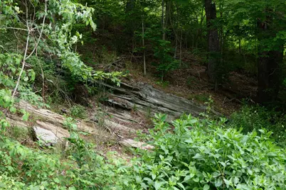 Tbd Sycamore Road, Vilas, NC 28692 - Photo 16
