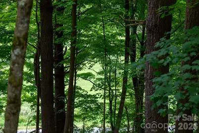 Tbd Sycamore Road, Vilas, NC 28692 - Photo 34