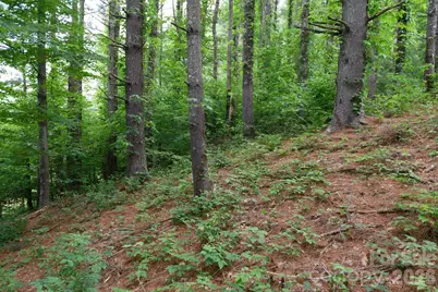 Tbd Sycamore Road, Vilas, NC 28692 - Photo 26