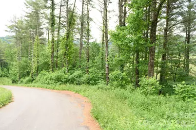 Tbd Sycamore Road, Vilas, NC 28692 - Photo 12
