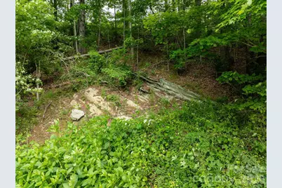 Tbd Sycamore Road, Vilas, NC 28692 - Photo 36