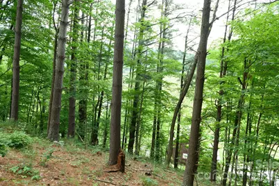 Tbd Sycamore Road, Vilas, NC 28692 - Photo 24