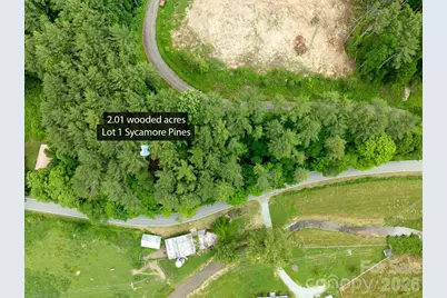 Tbd Sycamore Road, Vilas, NC 28692 - Photo 6