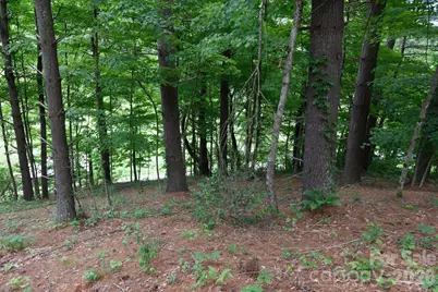 Tbd Sycamore Road, Vilas, NC 28692 - Photo 22