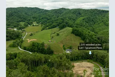 Tbd Sycamore Road, Vilas, NC 28692 - Photo 38