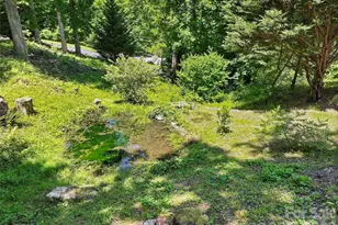 637 April Park, Waynesville, NC 28786 - Photo 32