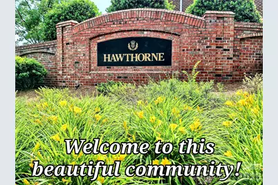 232 Hawthorne Park Avenue, Belmont, NC 28012 - Photo 4