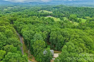 49 Wilderness Trail, Candler, NC 28715 - Photo 38