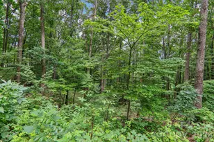 49 Wilderness Trail, Candler, NC 28715 - Photo 42