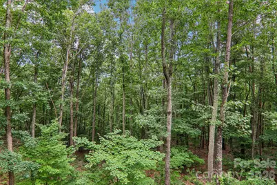 49 Wilderness Trail, Candler, NC 28715 - Photo 40