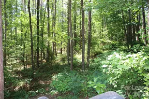 4181 Palm Drive, Denver, NC 28037 - Photo 34