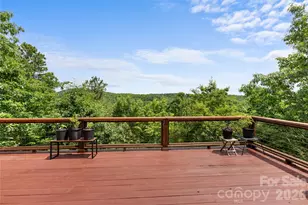 350 Winding Rdg Rd, Black Mountain, NC 28711 - Photo 46